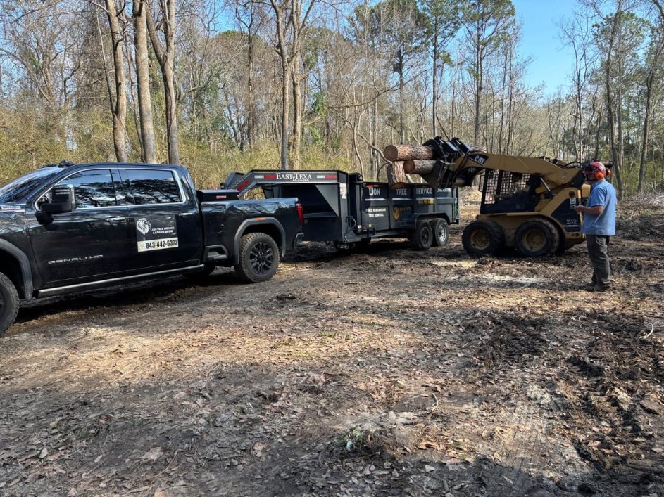 Lion Tree Service and Landscaping LLC project photo 39